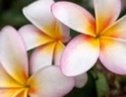 photo3｜求人フォトギャラリー(小) ブラン